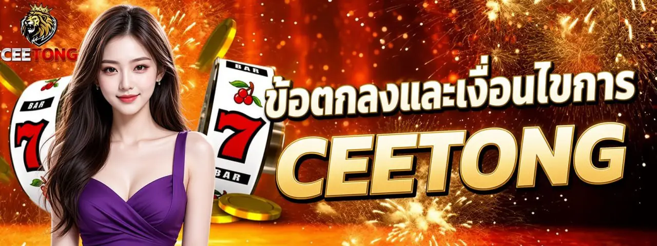 ข้อตกลงและเงื่อนไขการใช้งาน CEETONG